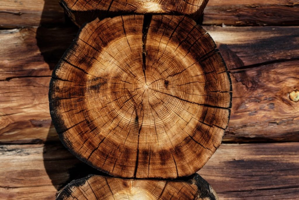 Alliance Forêts Bois reçoit Woodrise Vallée en table ronde