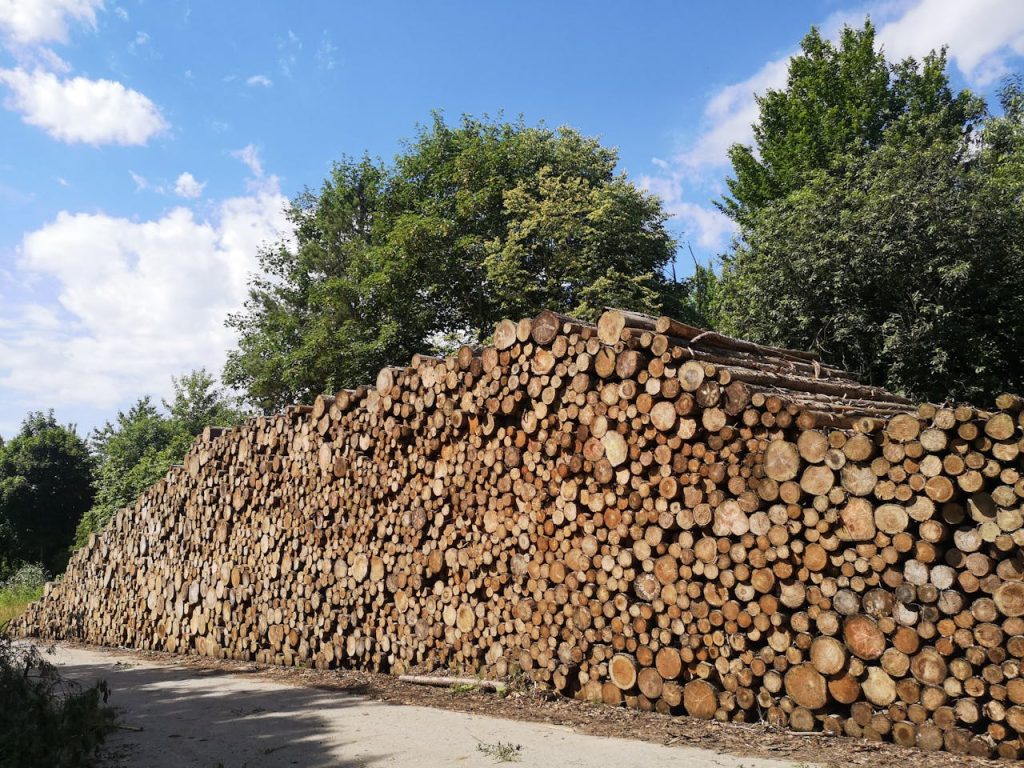 Large wooden log pile in a forest clearing under a clear blue sky.