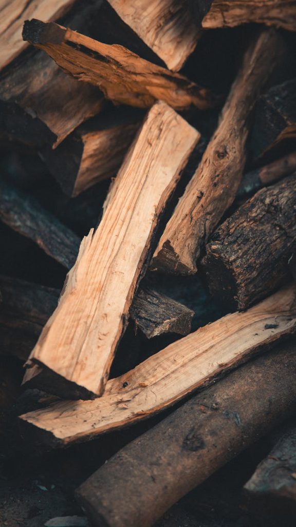 Pile of chopped firewood logs in a rustic outdoor setting, showcasing natural textures.