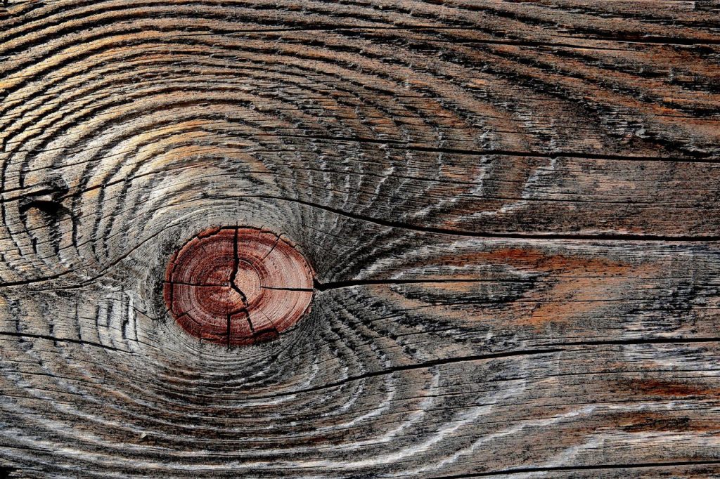 Detailed image of a weathered wooden surface highlighting natural patterns and knots.