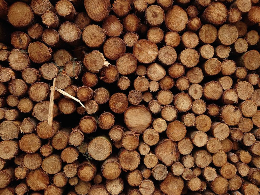 Close-up view of stacked logs showcasing wood texture and grain patterns.