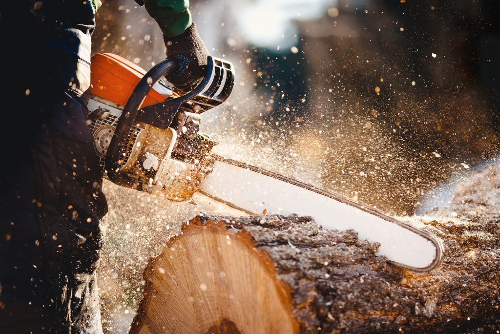 adobestock 198082946 1