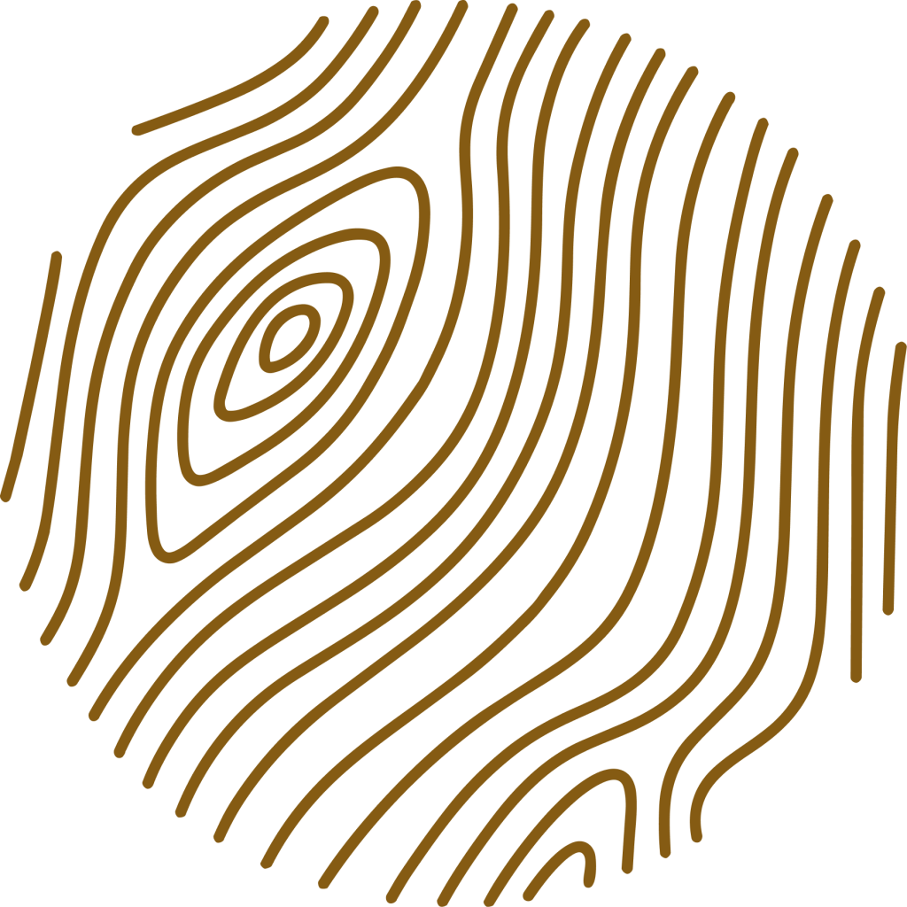 vector (1)