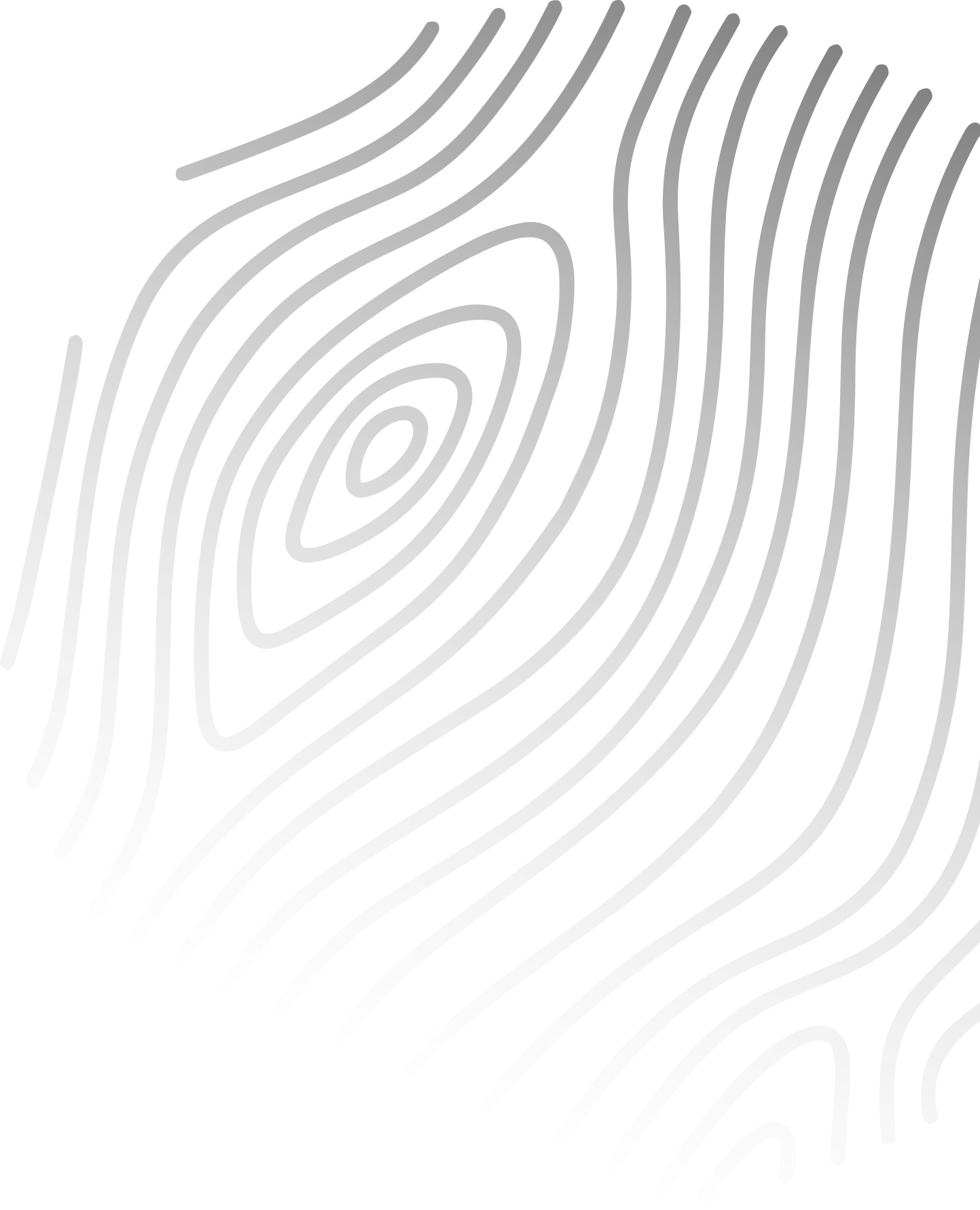 vector