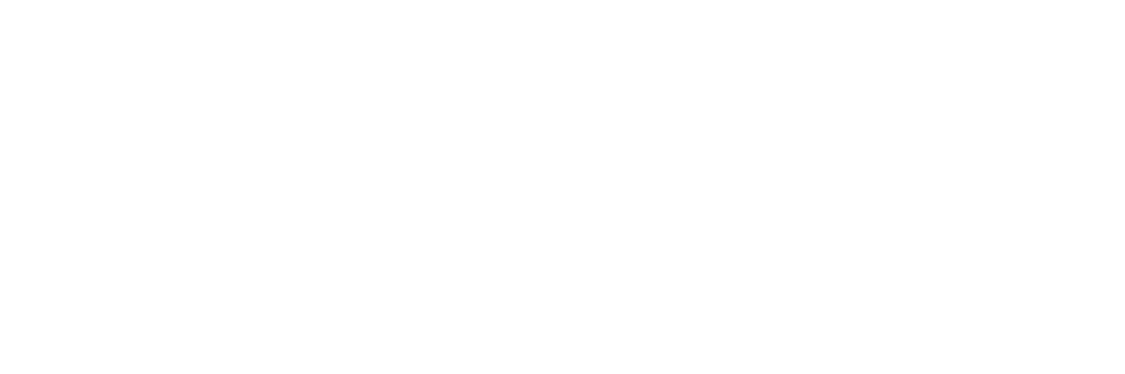 logo woodrise horizontal blanc
