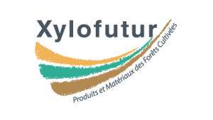 Participation à la Journée de l&rsquo;Innovation Xylofutur à Bordeaux